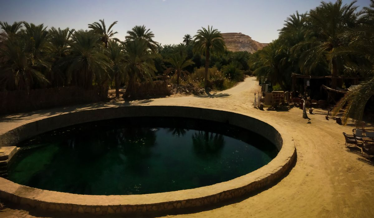 Paquete de 4 Días en Siwa